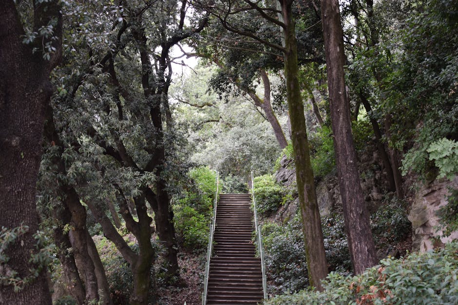 A stairway constructed of dark wooden steps ascending through a wooded area with tall trees and dense foliage on either side. The steps are flanked by metal handrails and surrounded by various types of green leaves, branches, and rocks. The environment appears natural and shaded, with diffused light filtering through the tree canopy. This outdoor staircase could be part of a residential property or garden, and it may be relevant to house removals or home relocation services provided by Man with Van Bickley, especially when navigating narrow or uneven pathways during a furniture transport or relocation process.