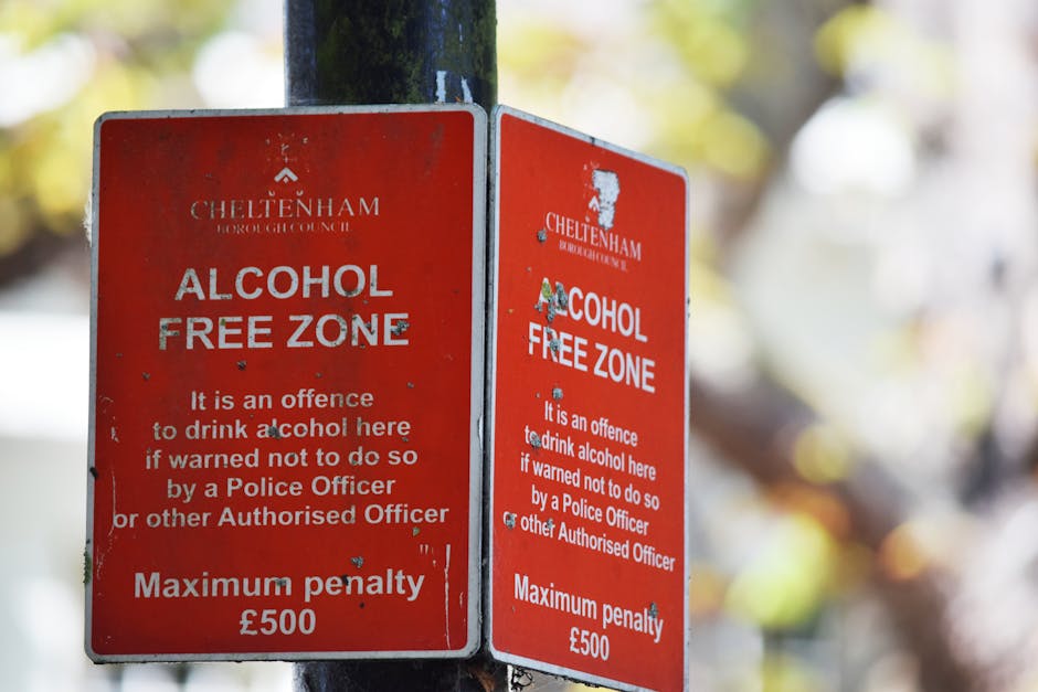 Two red Cheltenham Borough Council alcohol-free zone signs mounted on a black metal pole outdoors, with visible weathering and scratches. The signs display white text indicating that drinking alcohol within the zone is an offence, with a maximum penalty of £500, and note that the zone's purpose is to promote public order during home relocation or moving activities. The background shows blurred autumn foliage and sunlight filtering through trees, suggesting a residential or urban setting. The signs are positioned beside a pedestrian pathway or pavement, likely near a property or vehicle access point, commonly seen during house removals. The image emphasizes the importance of adhering to local regulations when conducting furniture transport or packing and moving operations, with the signs serving as legal notices in the context of residential relocations.