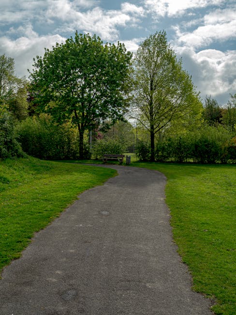 A paved footpath winding through a green park area with well-maintained grass on either side. The path leads towards a wooden bench situated under two large, leafy trees with fresh, light green foliage. The trees are positioned parallel, creating a symmetrical appearance, and the background features more trees and a partly cloudy sky with patches of blue. The scene is calm and natural, reflecting an outdoor environment suitable for relaxation or outdoor activities. This setting may be part of a home relocation or moving service backdrop, such as those used by Man with Van Bickley, to illustrate the journey from a residential property to a new location, emphasizing the importance of careful planning and transport logistics during house removals.